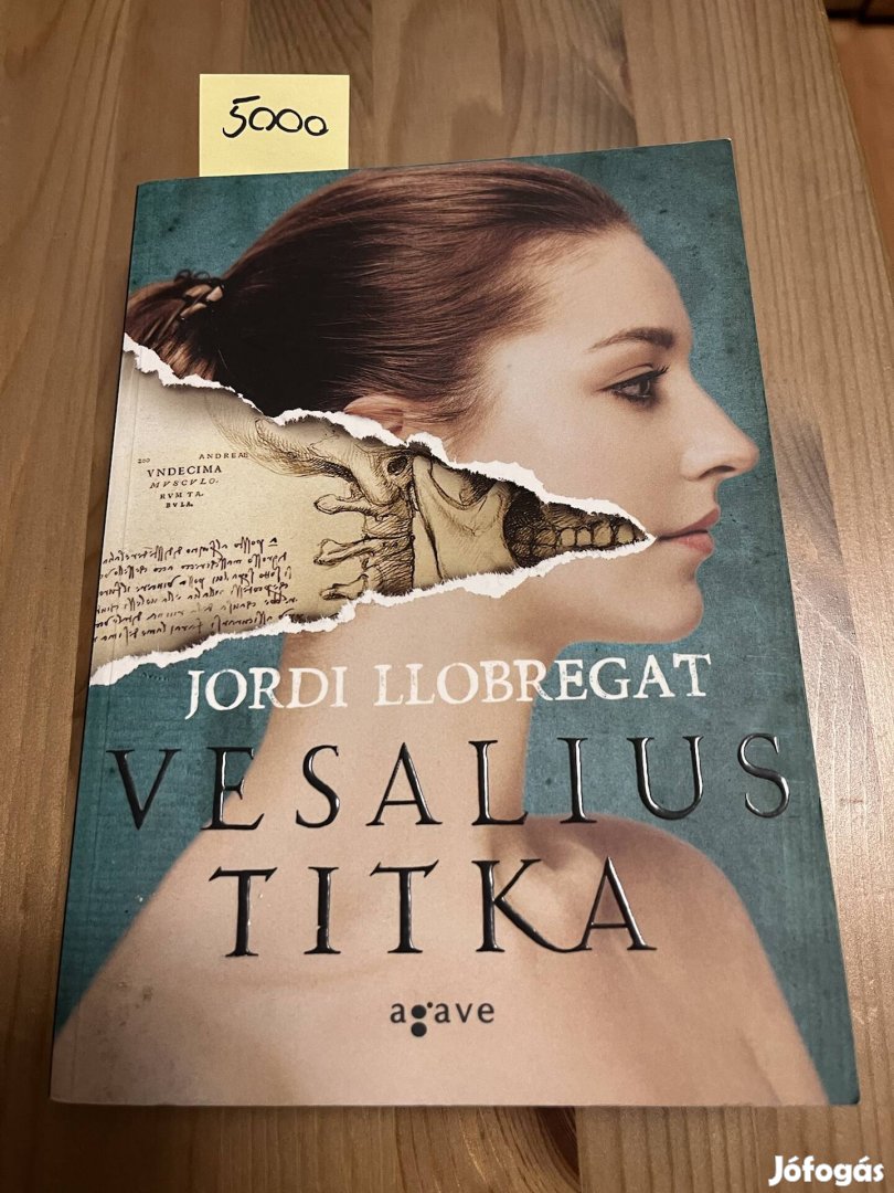 Jordi Llobregat: Vesalius titka