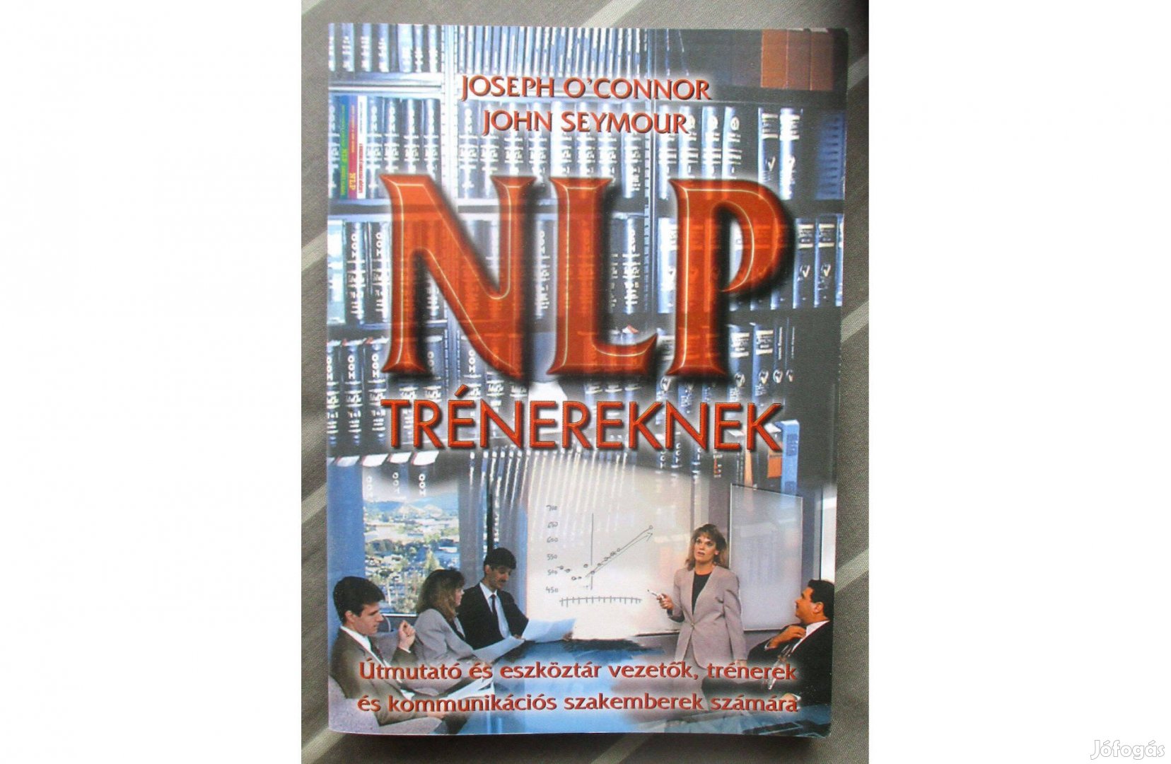 Joseph O'Connor, John Seymour: NLP trénereknek