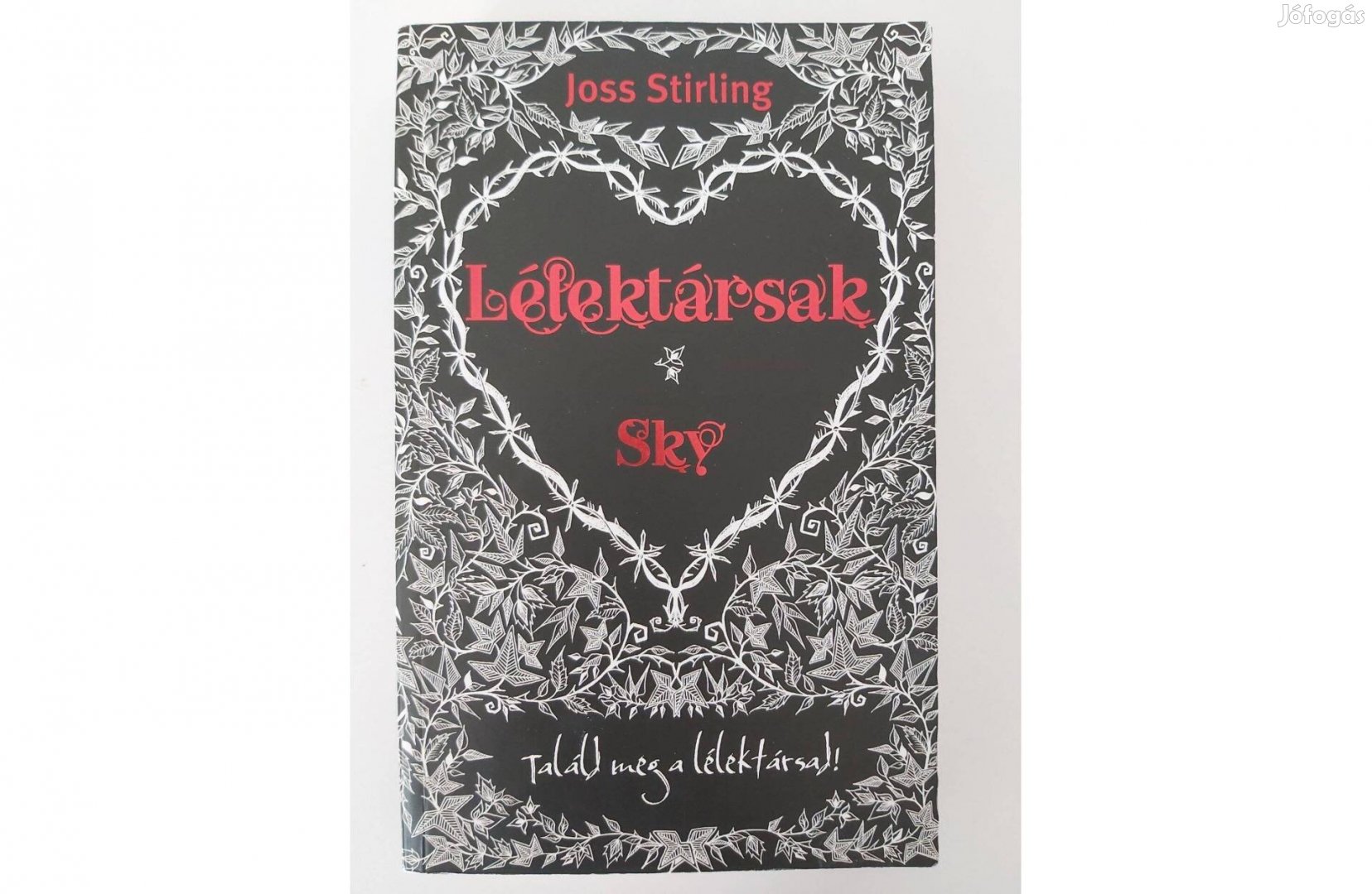 Joss Stirling: Lélektársak Sky