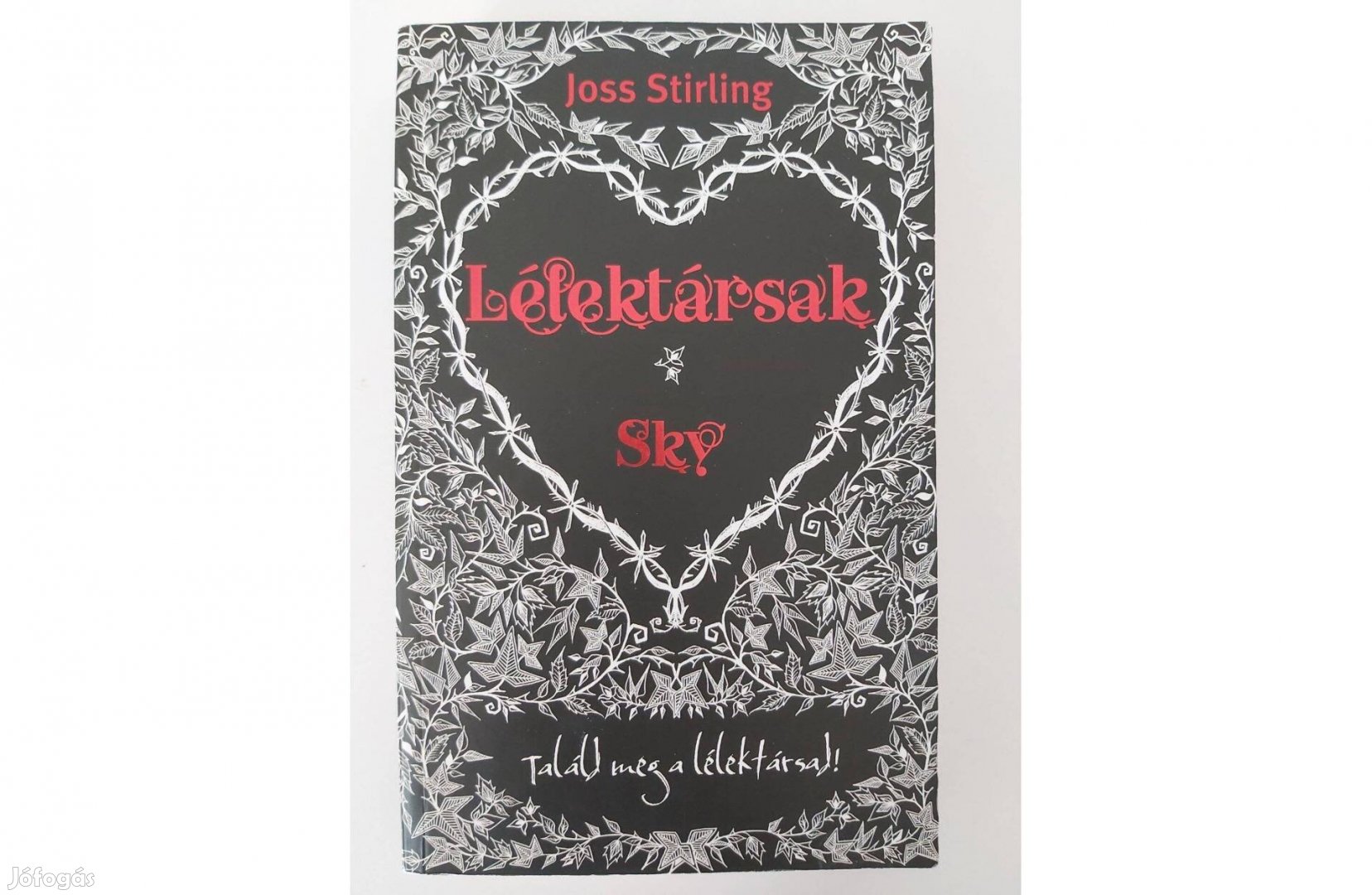 Joss Stirling: Sky (Lélektársak 1.)