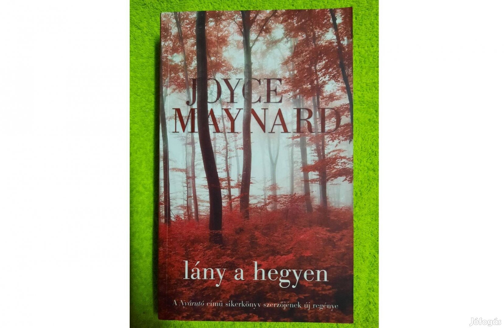 Joyce Maynard: Lány a hegyen