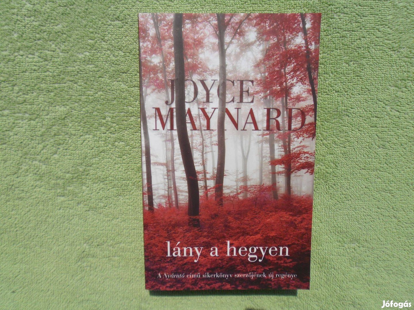 Joyce Maynard: Lány a hegyen