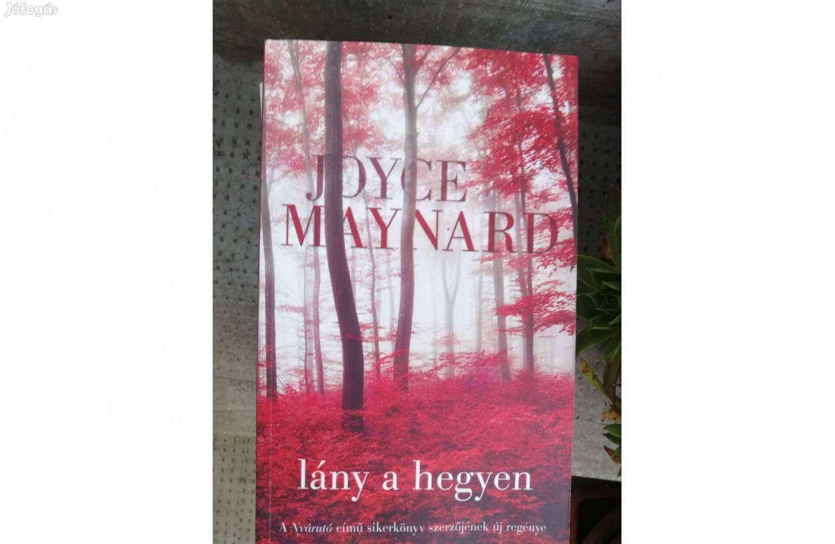 Joyce Maynard - Lány a hegyen 500 forintért eladó