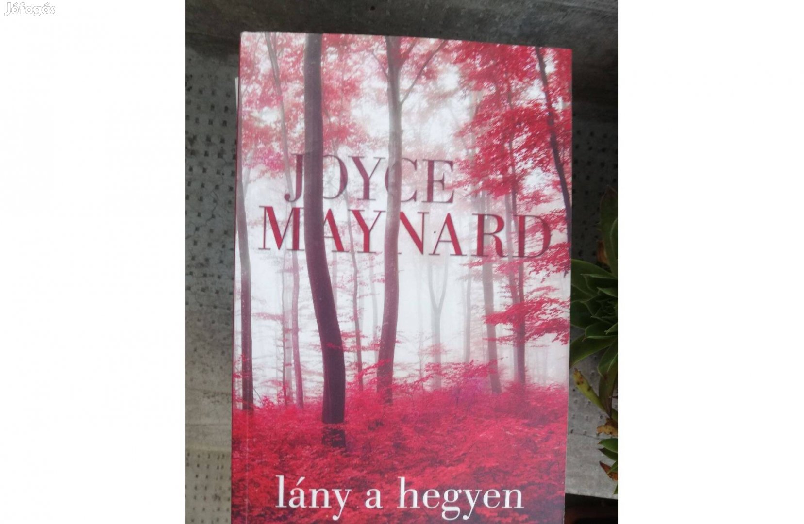 Joyce Maynard - Lány a hegyen 500 forintért eladó