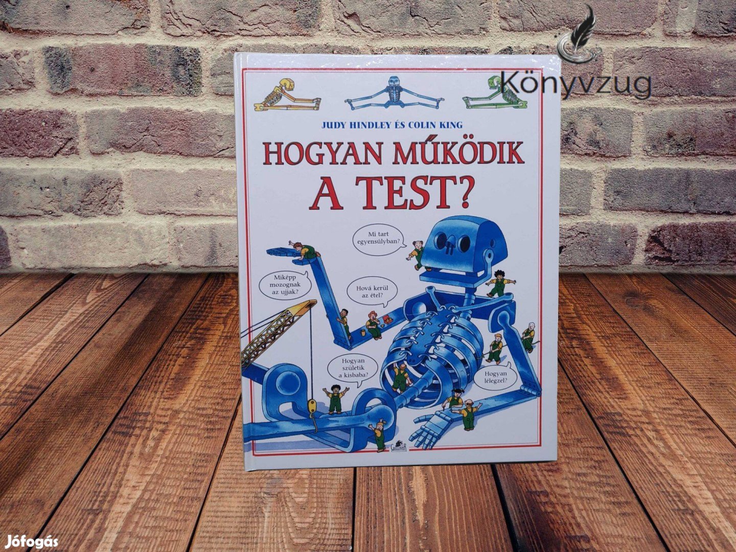 Judy Hindley - Hogyan működik a test?