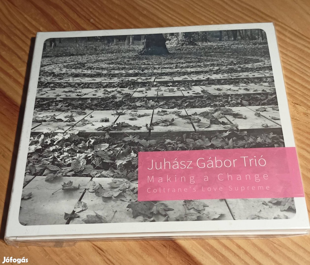Juhász Gábor Trió - Making a Change CD 