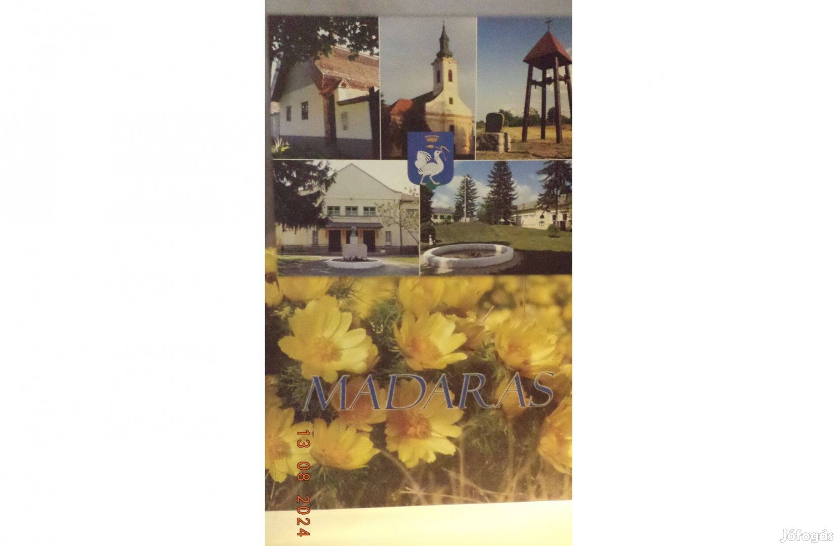 Juhász István Madaras