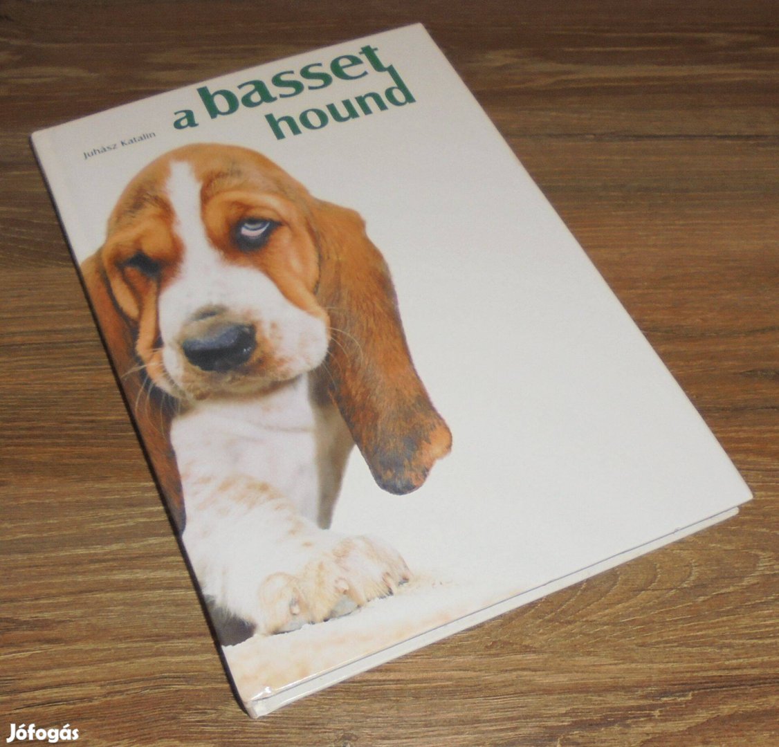 Juhász Katalin: A basset hound