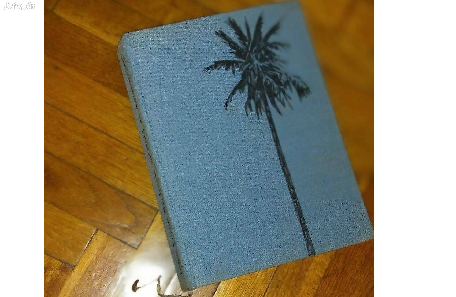 Jules Verne: Nyolcszáz mérföld az Amazonason
