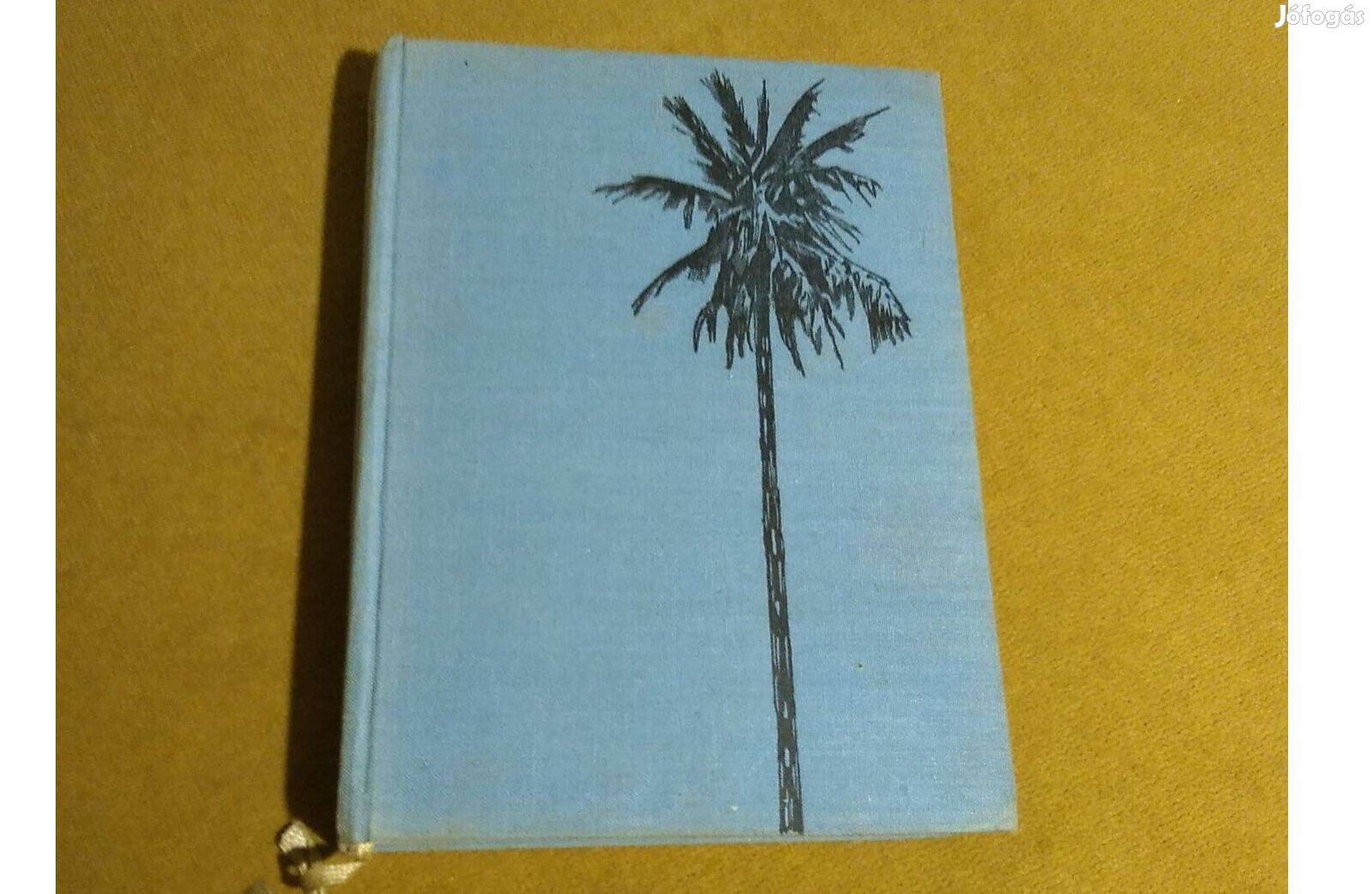 Jules Verne: Nyolcszáz mérföld az Amazonason (1967)