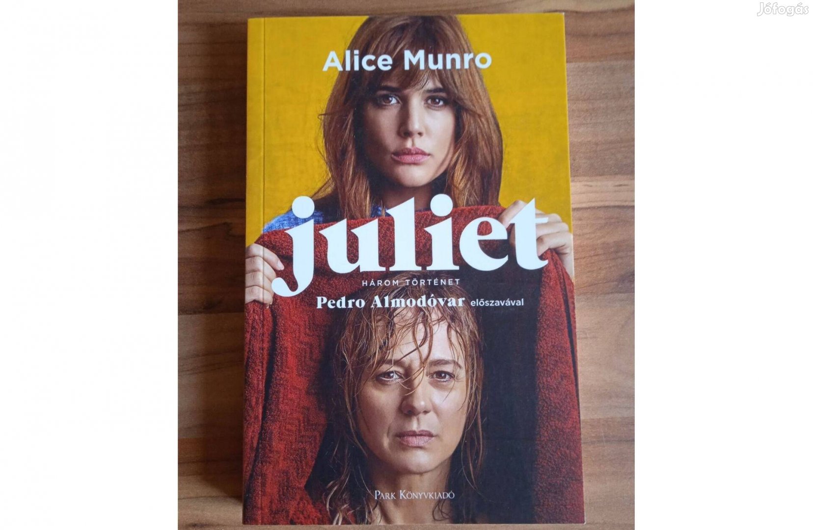 Juliet - Három történet (Alice Munro)