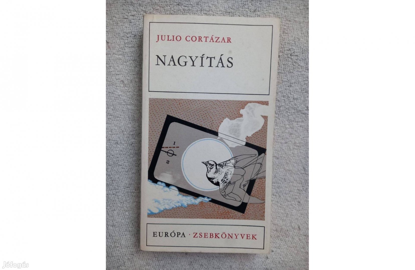 Julio Cortázar: Nagyítás