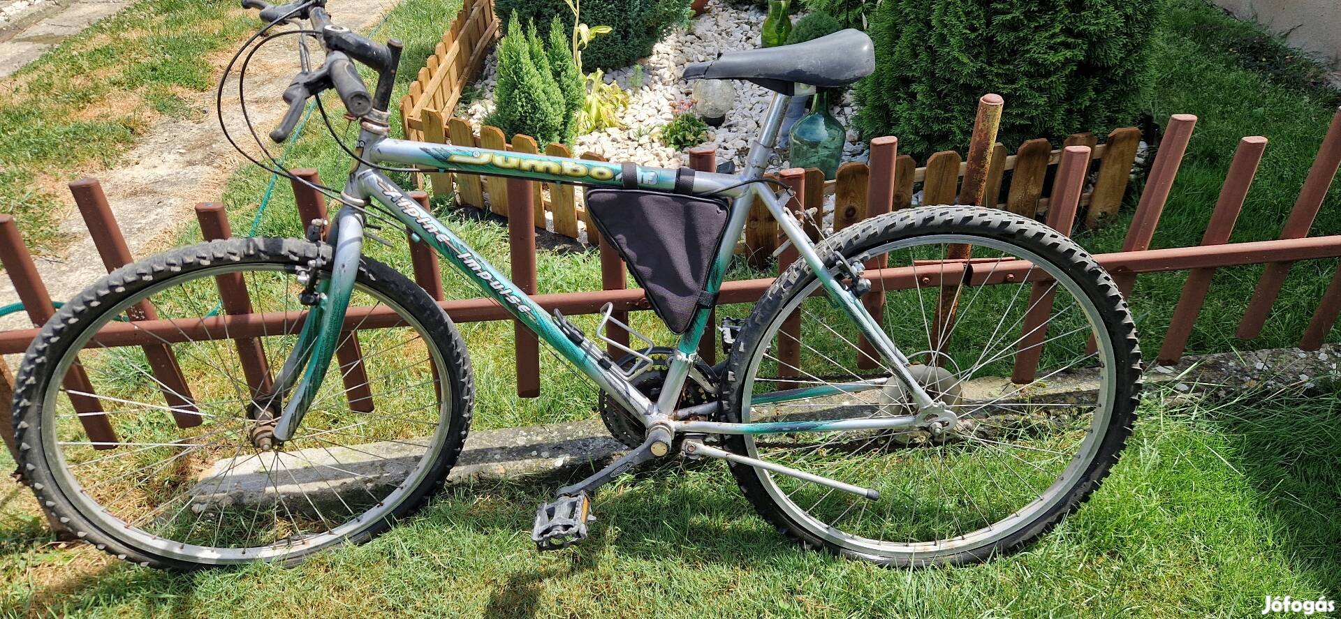 Jumbo MTB Alpine Impulse M