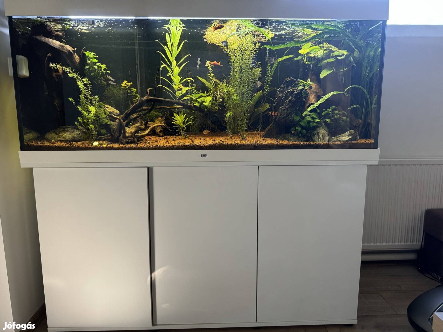 Juwel Rio 450 led kombináció akvárium aquarium