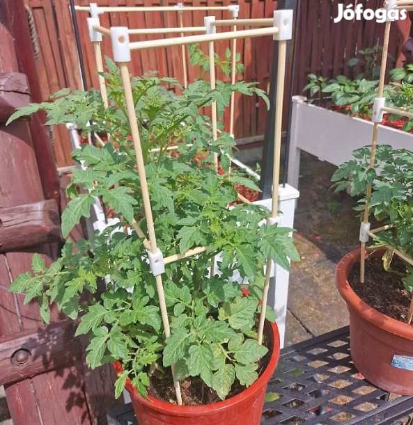 K6B Moduláris 6mm-es Támaszrendszer Növényekhez Szett 5501