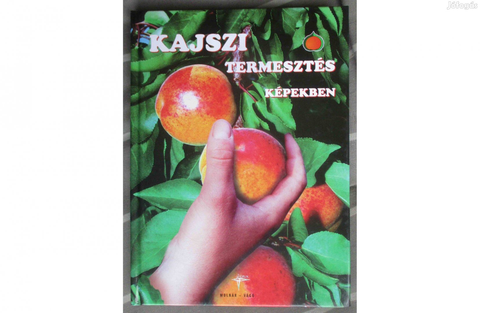 Kajszi termesztés képekben