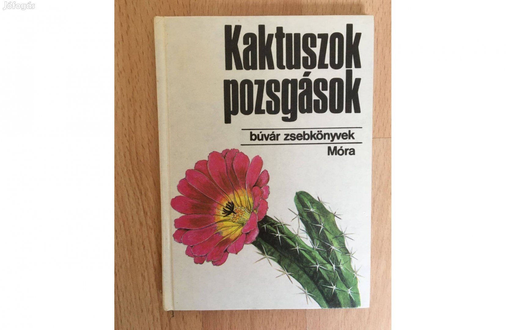 Kaktuszok, pozsgások című könyv Búvár Zsebkönyv