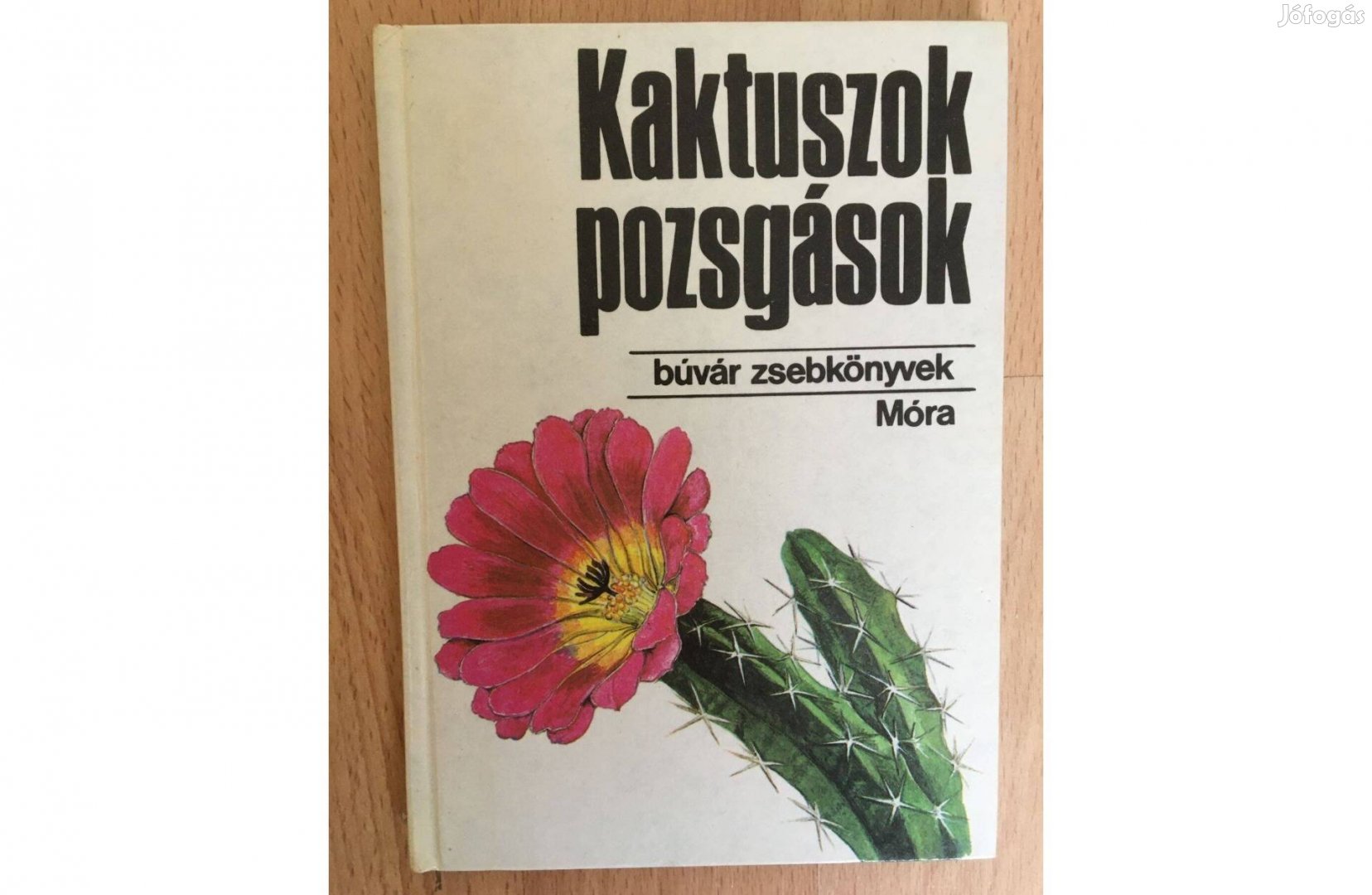 Kaktuszok, pozsgások című könyv (Búvár Zsebkönyvek sorozat)