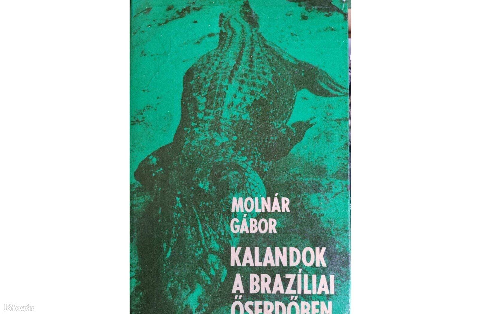 Kalandok a braziliai őserdőben