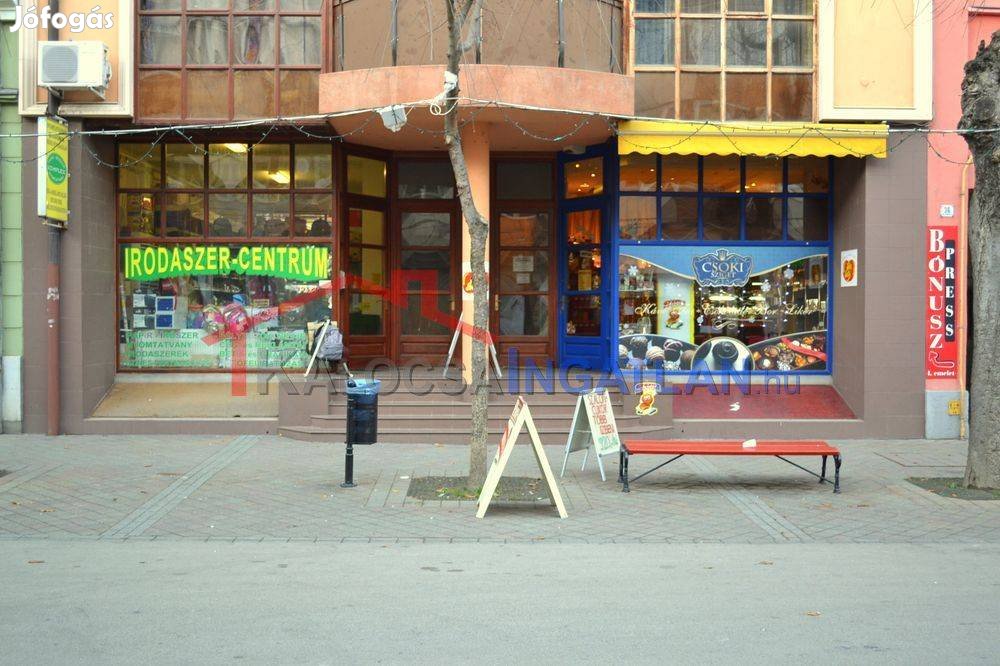 Kalocsán belvárosi pince-üzlethelyiség eladó!