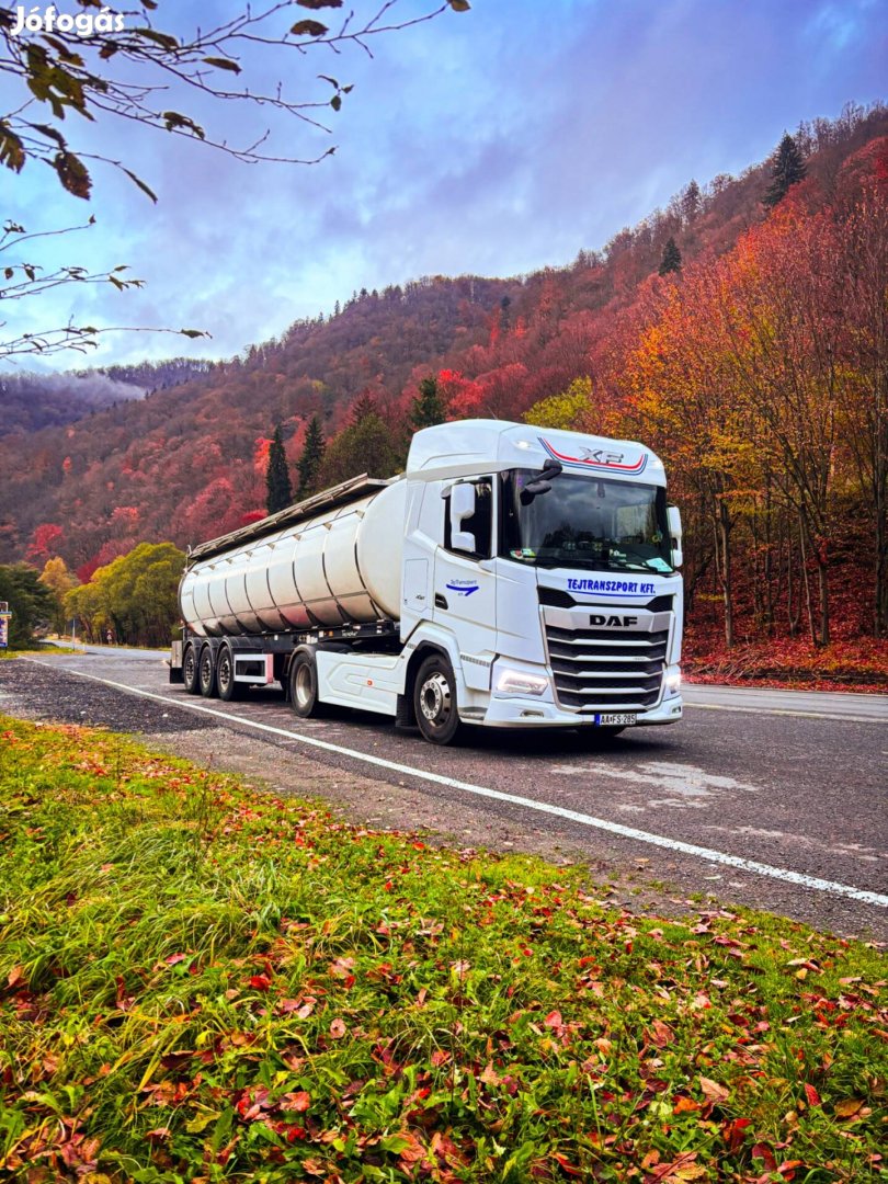 Kamion- és teherautó szerelő állás