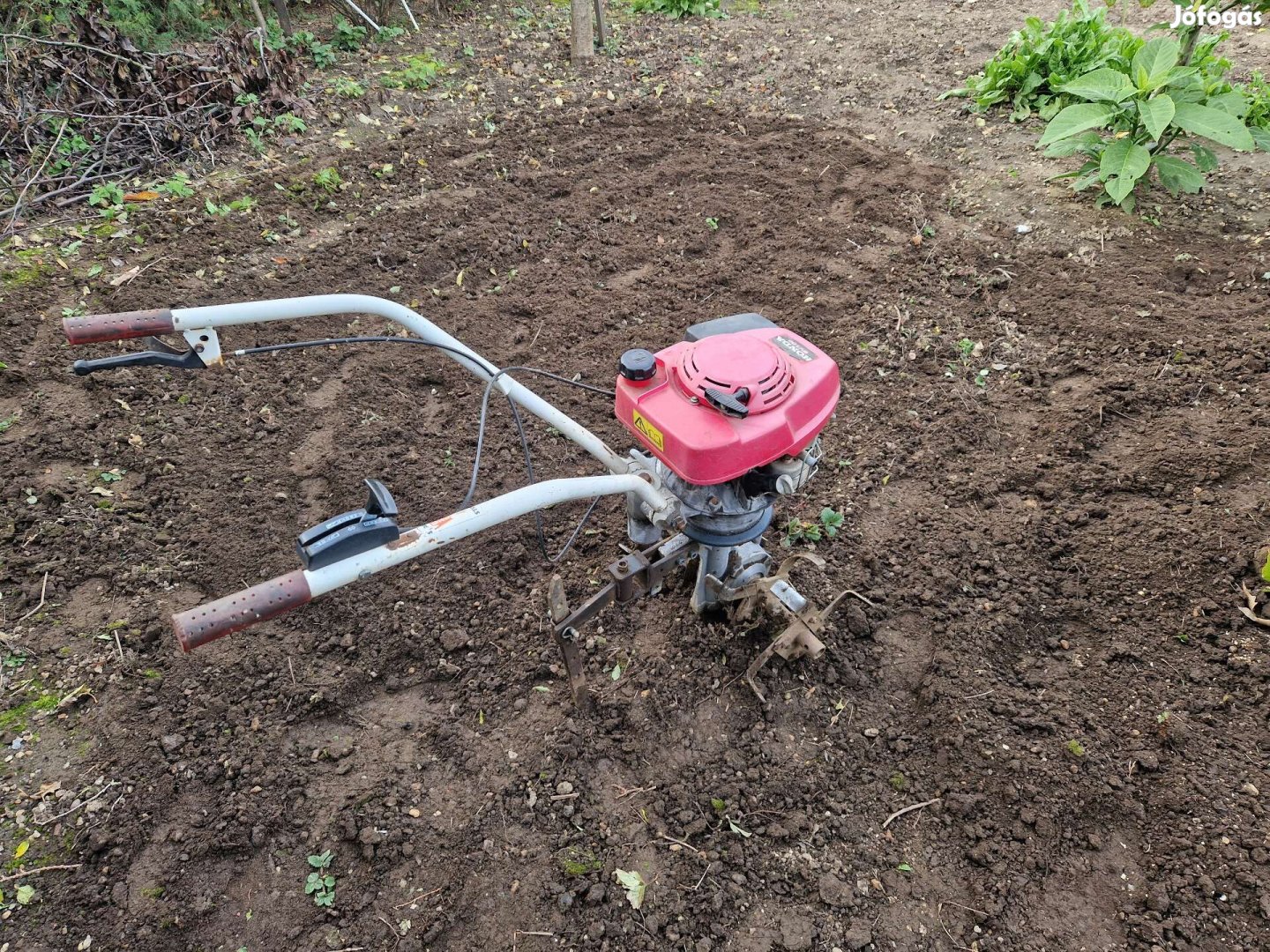 Kapálógép rotációs kapa Honda motoros