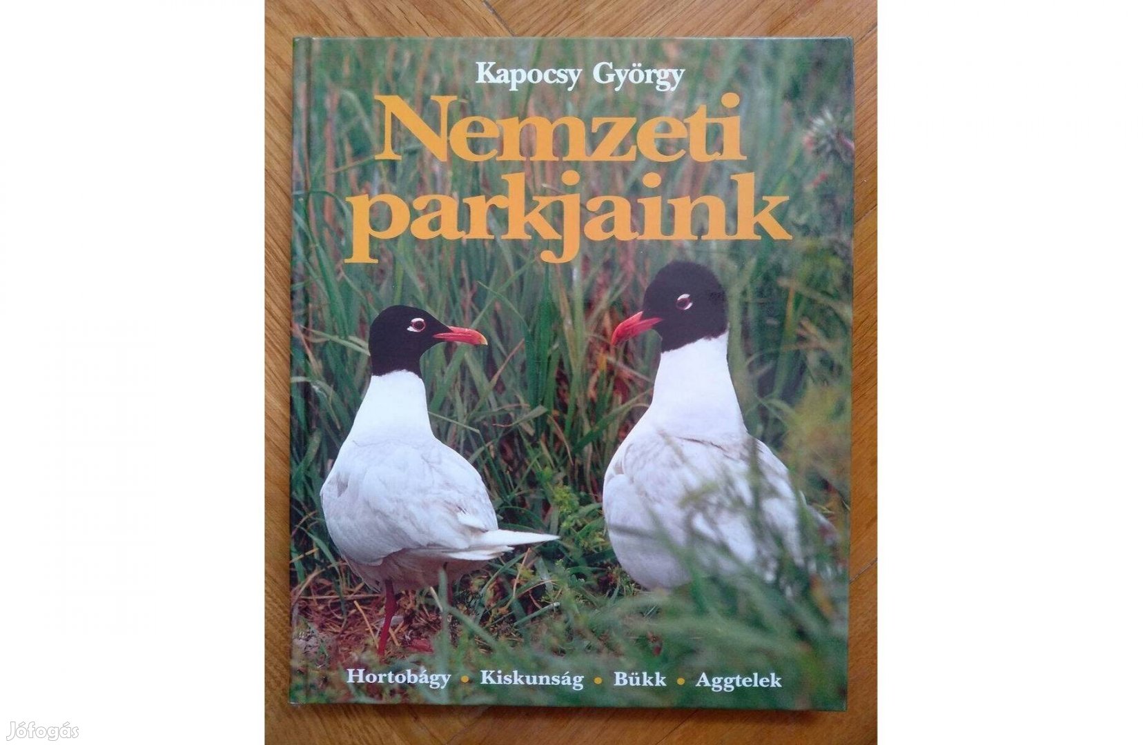 Kapocsy György Nemzeti parkjaink gyönyörű fotókkal, ajándéknak könyv
