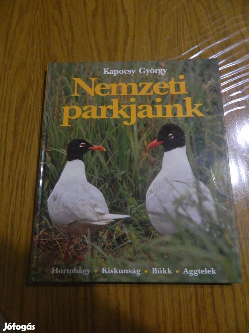 Kapocsy György: Nemzeti parkjaink