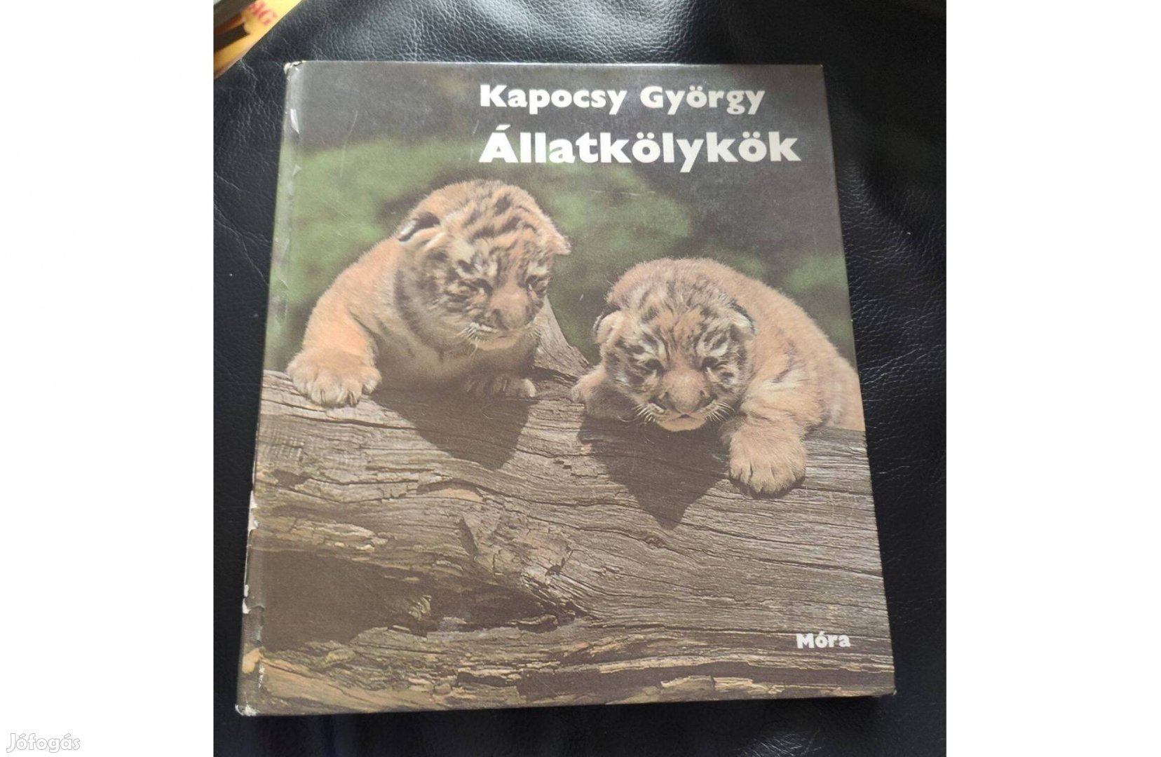 Kapocsy György : Állatkölykök