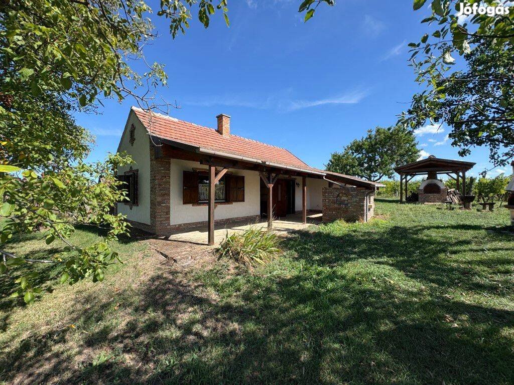 Kaposhomokon Igényes Szőlőbirtok Eladó