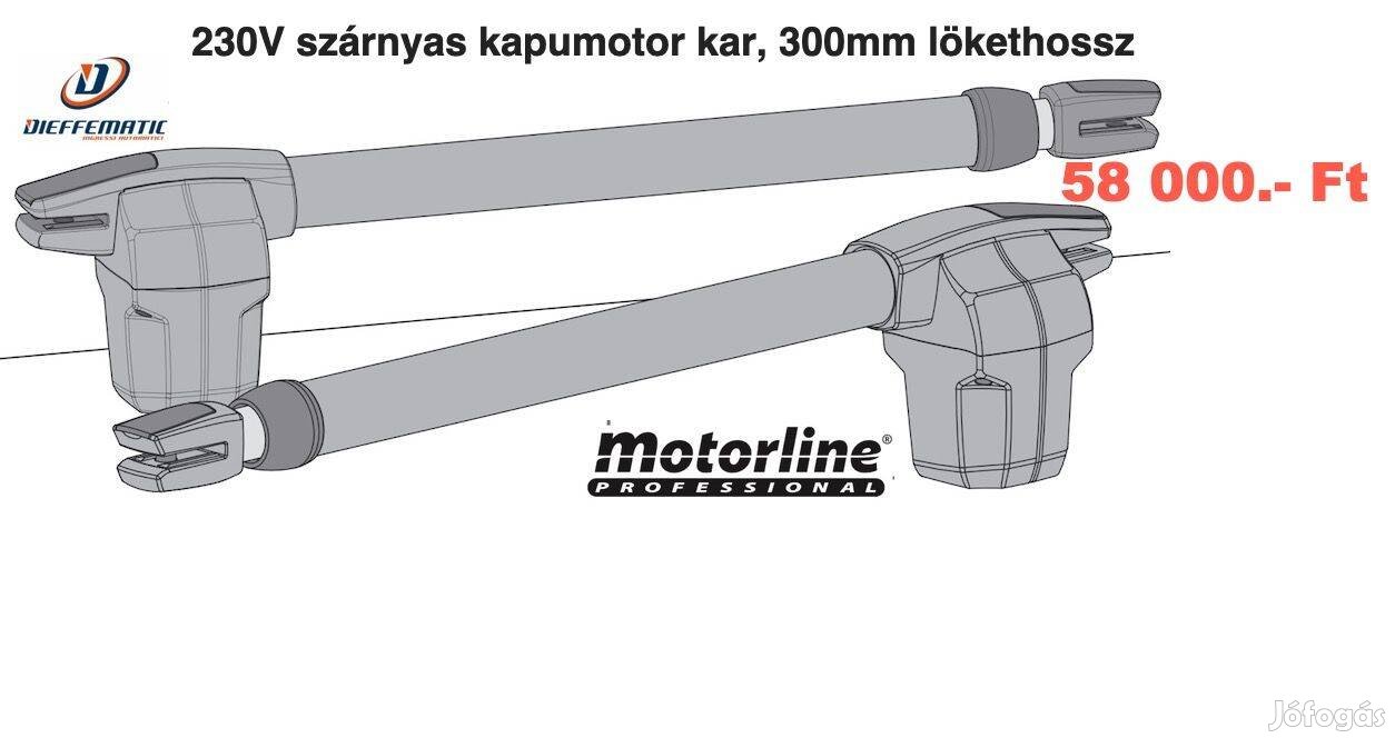 Kapunyitó Motor 230V /szárnyaskapu/