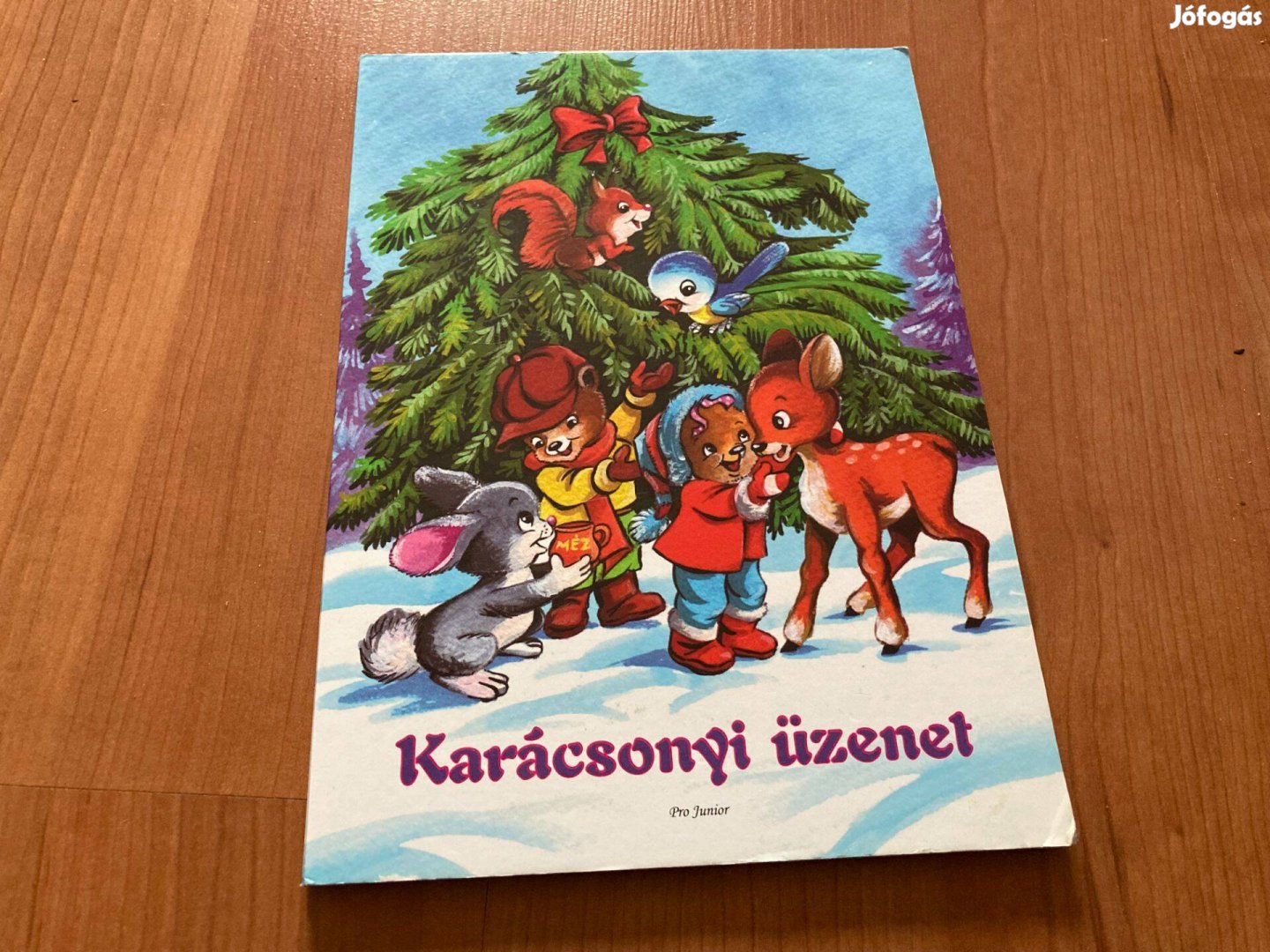 Karácsonyi üzenet gyerekkönyv