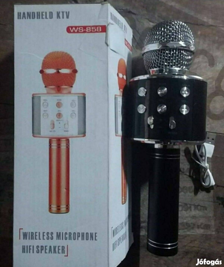 Karaoke mikrofon 