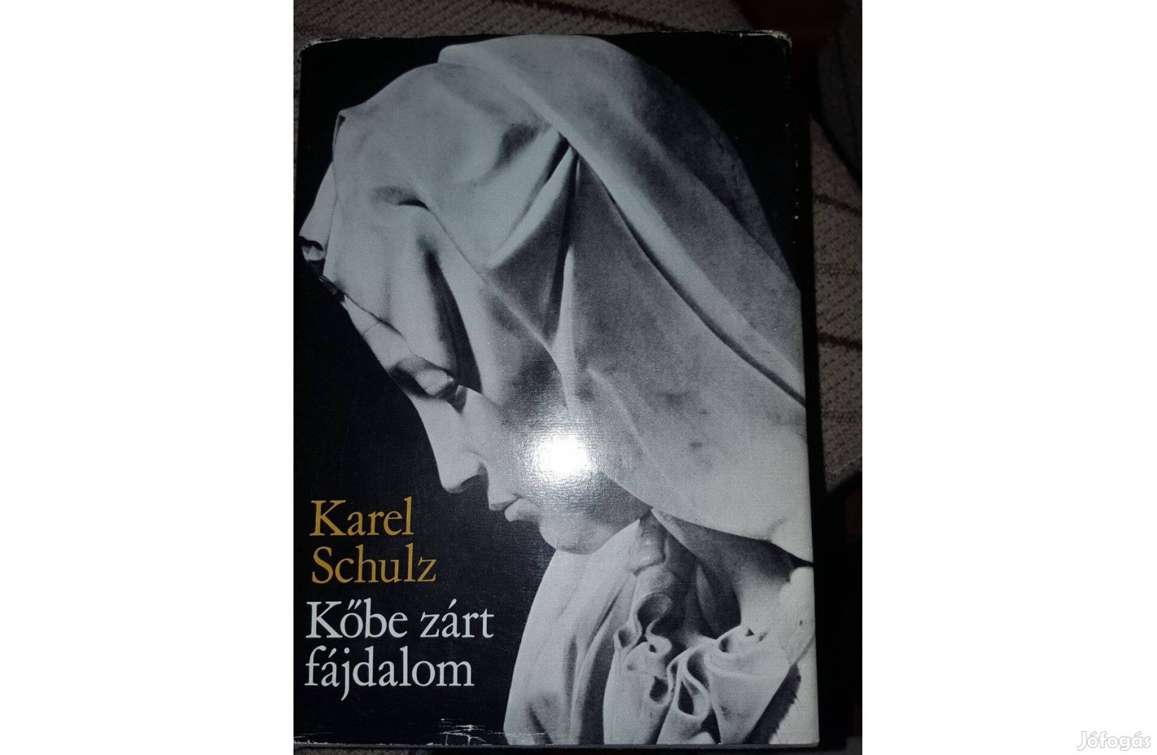 Karel Schulz: Kőbe zárt fájdalom