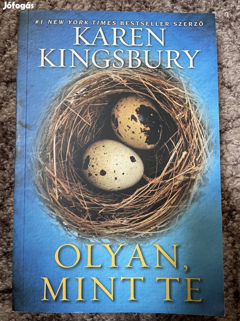 Karen Kingsbury: Olyan, mint te