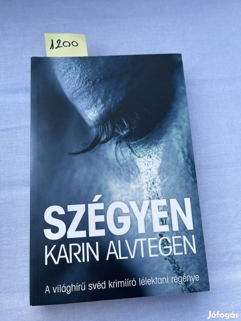 Karin Alvtegen: Szégyen 