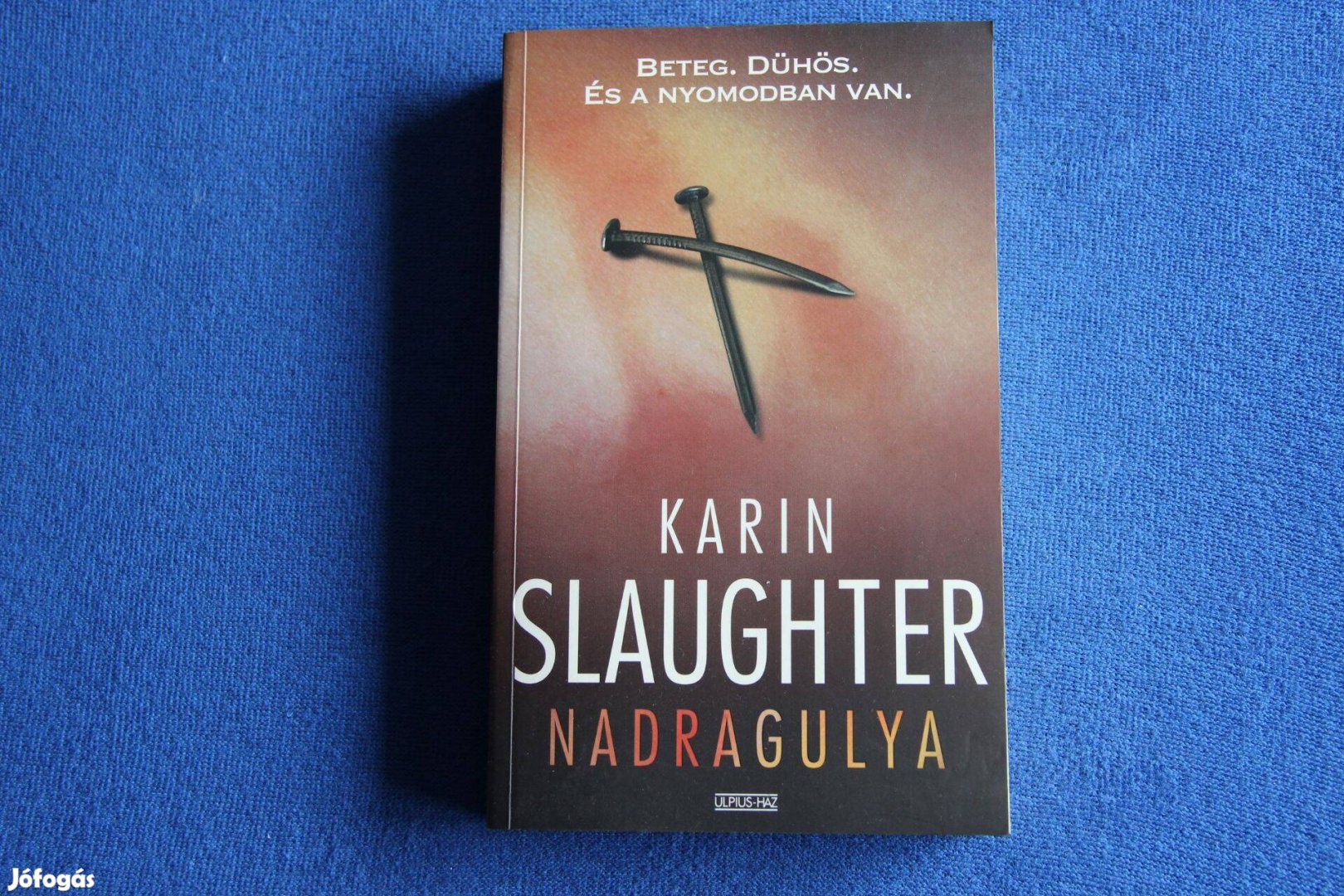 Karin Slaughter: Nadragulya című könyv eladó