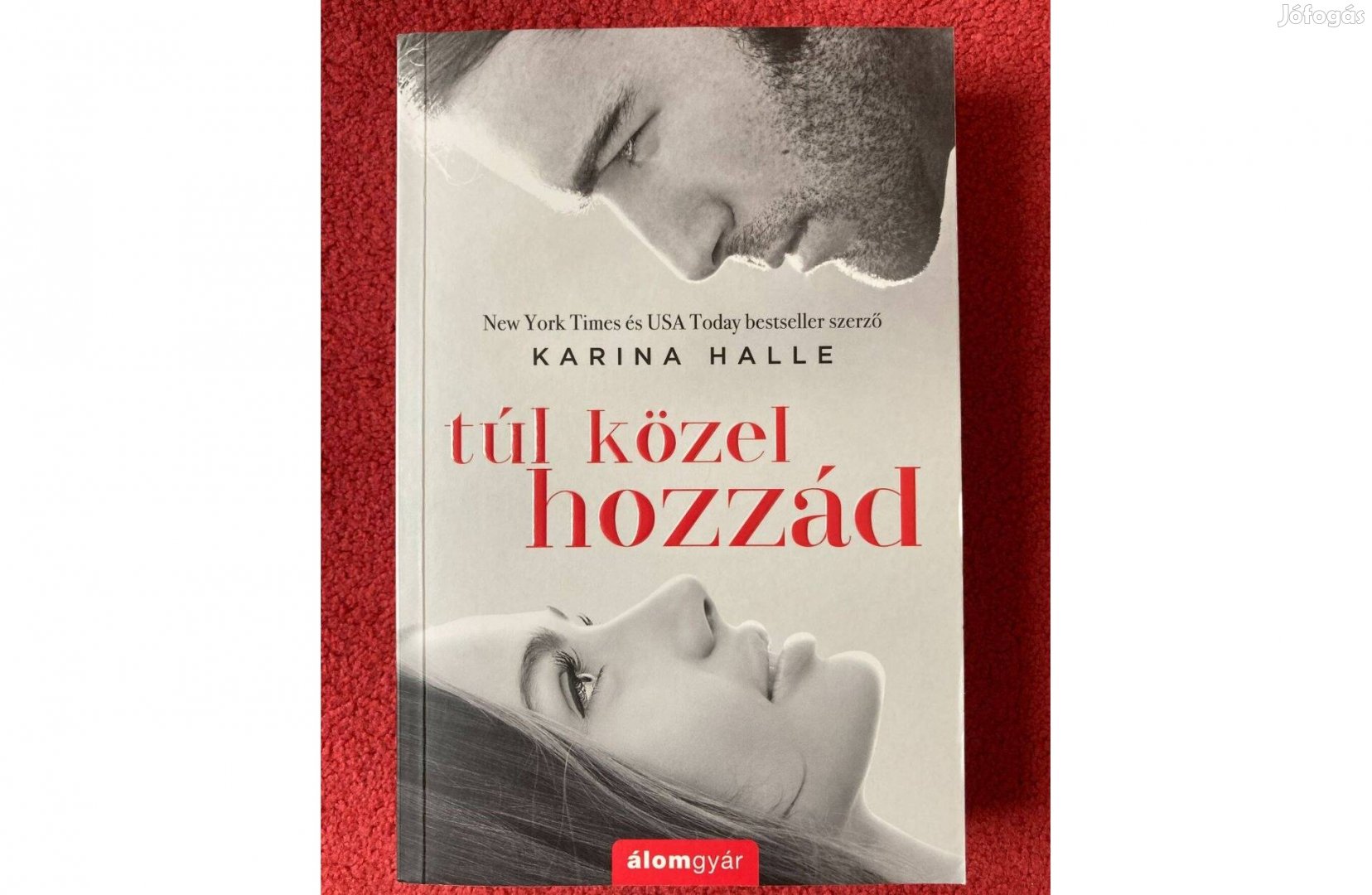 Karina Halle Túl közel hozzád