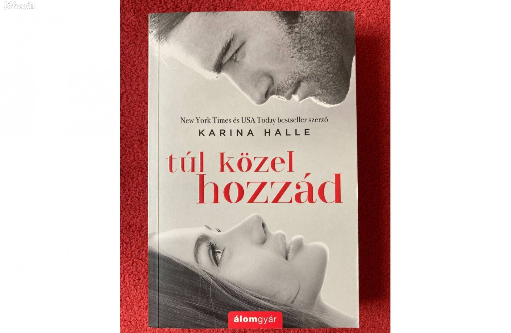 Karina Halle Túl közel hozzád