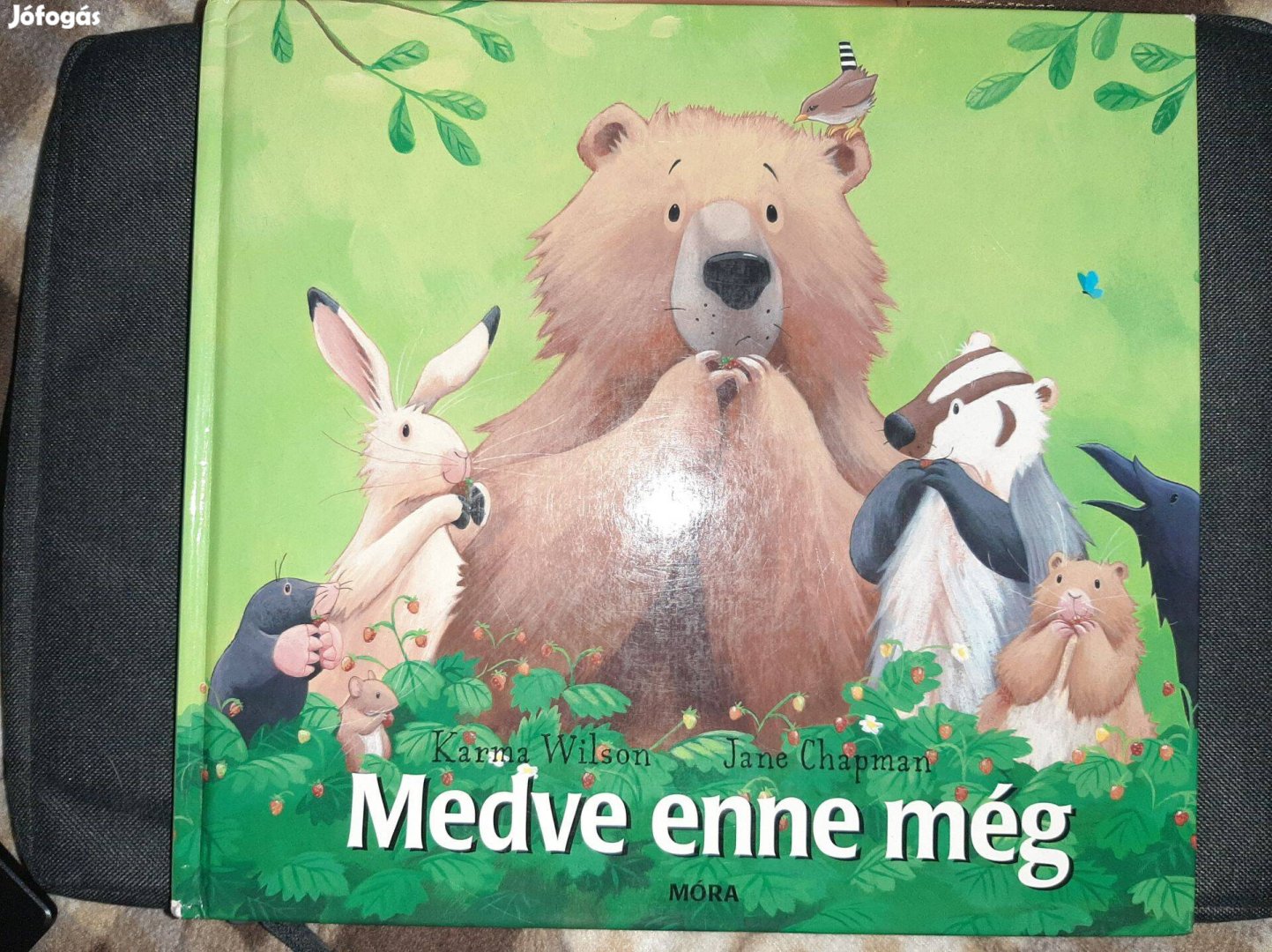 Karma Wilson: Medve enne még