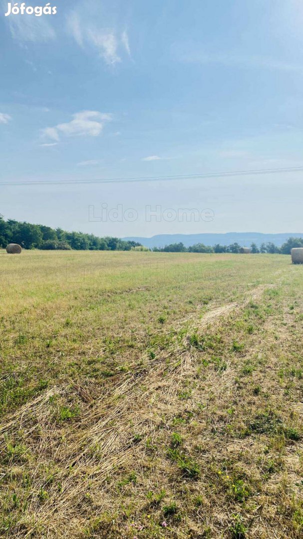 Karmacson mezőgazdasági terület eladó.