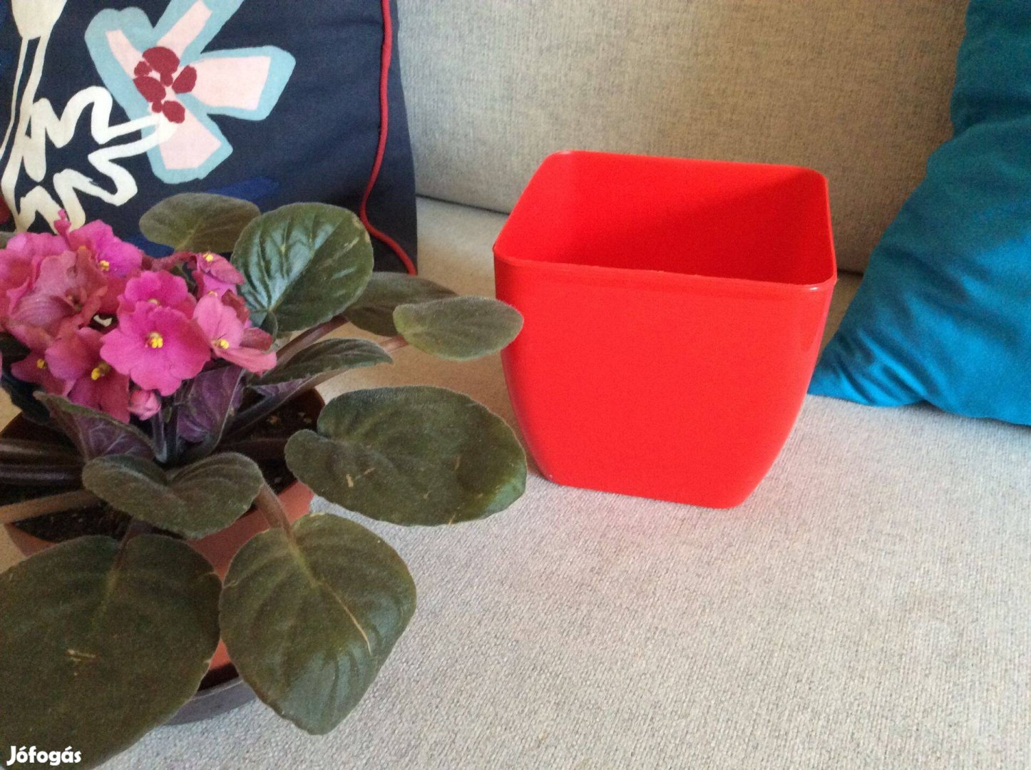 Kaspó Alcea piros műanyag kaspó négyzet alakú virágkaspó 13x13