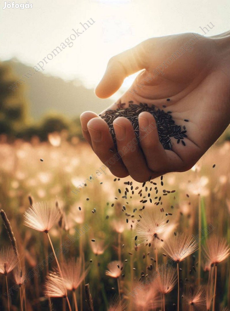 Kaszáló fűmagkeverék, 8 komponensű, eladó postai utánvéttel