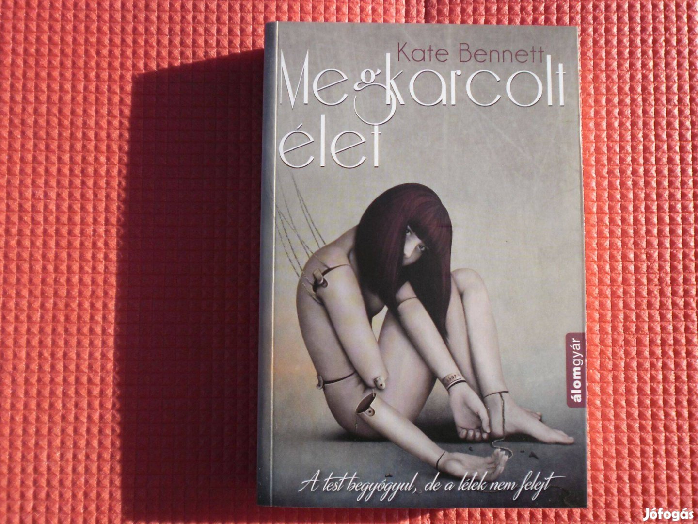 Kate Bennett: Megkarcolt élet