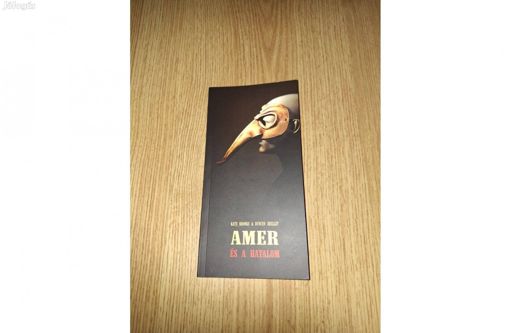 Kate Brooks - Duncan Shelley: Amer és a hatalom