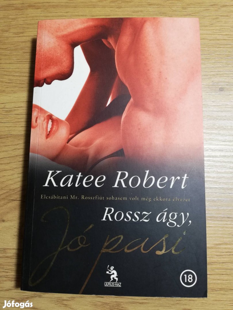 Katee Robert : Rossz ágy, jó pasi 