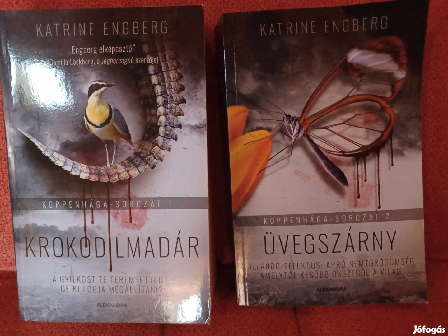 Katrine Engberg: Krokodilmadár, Üvegszárny