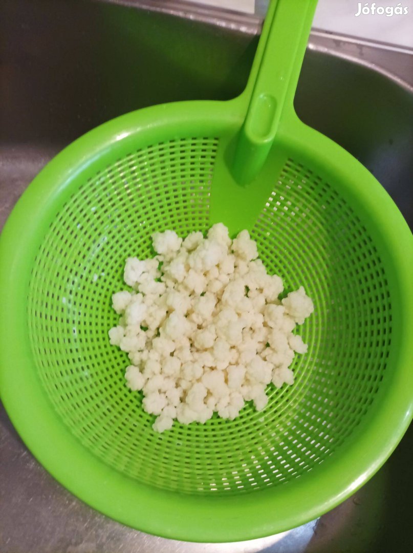 Kaukázusi kefirgomba