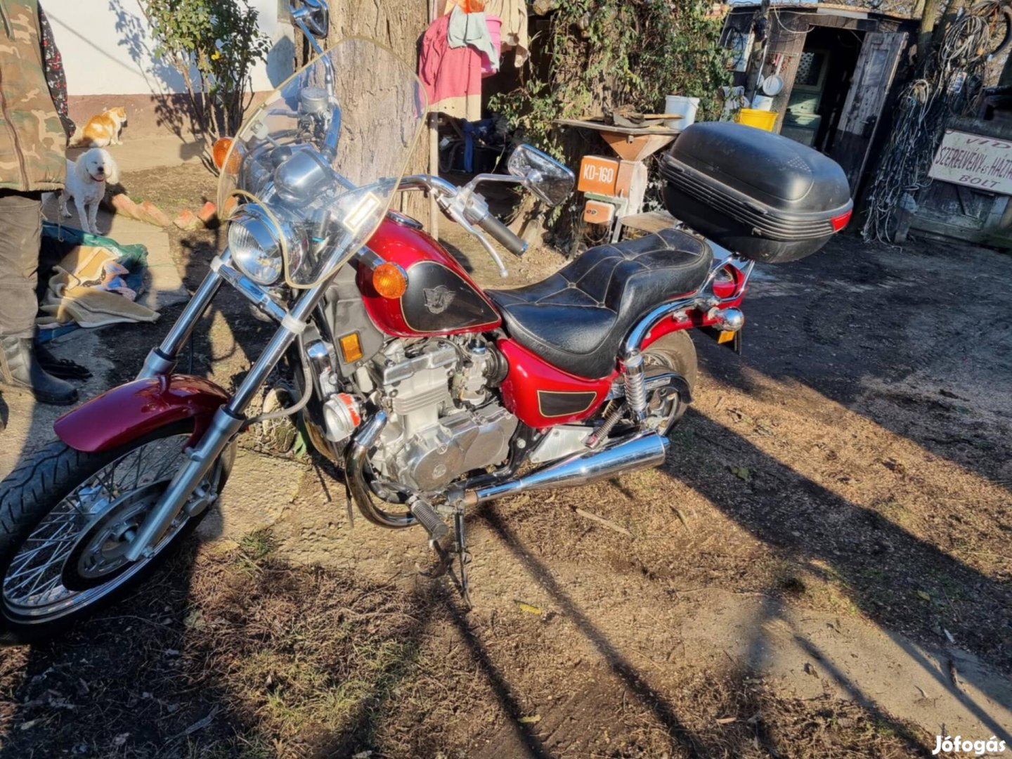 Kawasaki Chopper EN 500
