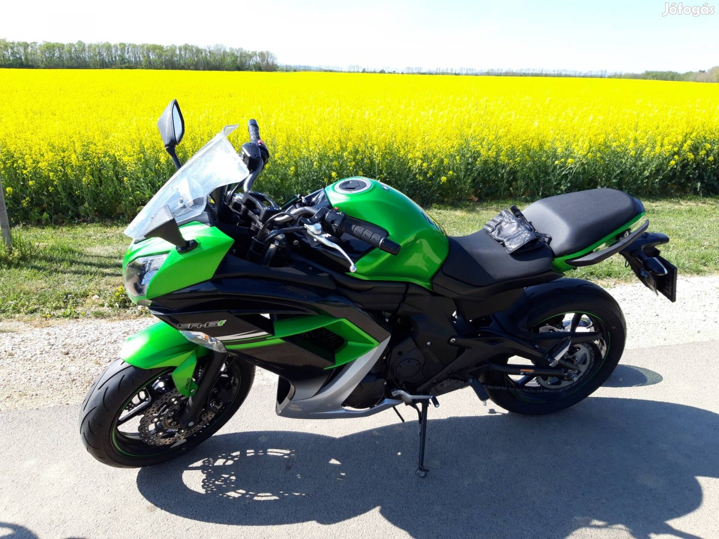 Kawasaki ER 6F- Zöldbéka keres új Királylányt, vagy Királyfit ?!